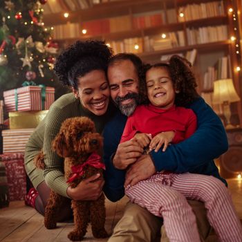 Maison de vacances pour les vacances de Noël