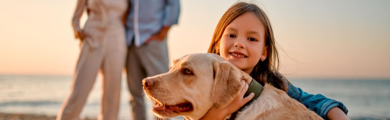 Semaine, midweek ou week-end avec votre chien