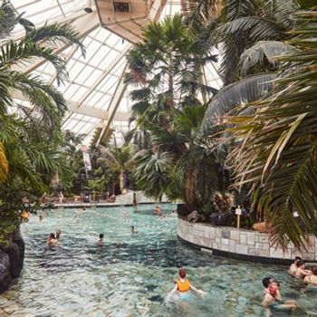 Avec paradis aquatique subtropical